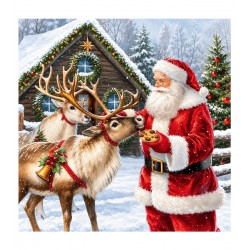 Pacote com 20 Guardanapos 33x33cm de Papel Napkin Give a Treat Fsc Mix
